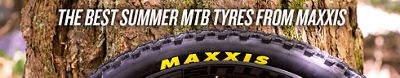 best summer mtb tyres