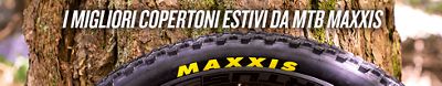 best summer mtb tyres