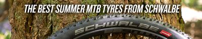 best summer mtb tyres