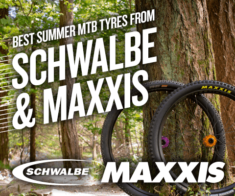 best summer mountain bike tyres