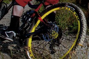 chain reaction mountain bikes