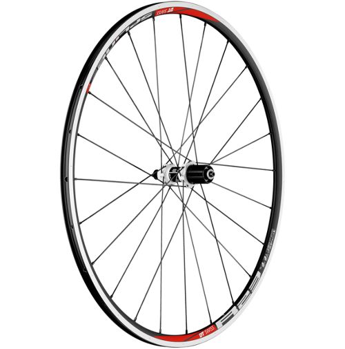 dt swiss r23 spline disc