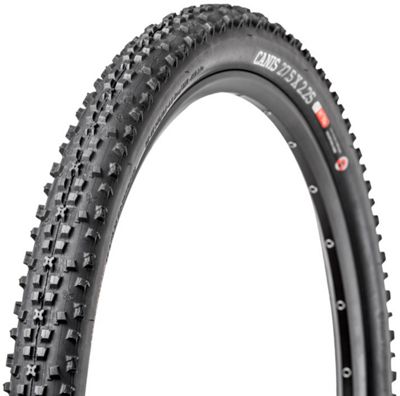 skinwall mtb tyres