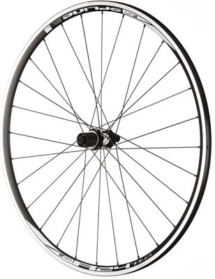 DT Swiss R24 Spline Rear Road Wheel