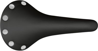 Selle San Marco Regal Titanio Saddle Review