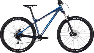 Vitus Sentier 29 VR HT Bike