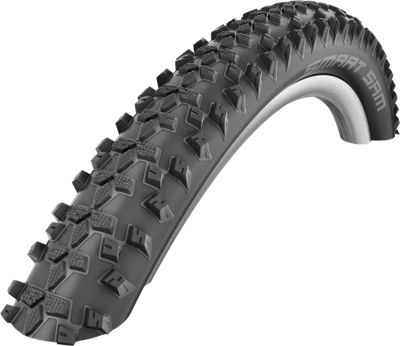 Schwalbe Smart Sam Review