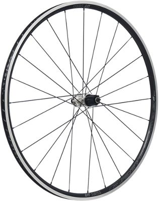dt swiss r24 spline disc