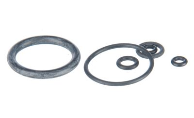 Manitou Splice Remote Lock Out O Ring Kit 2005