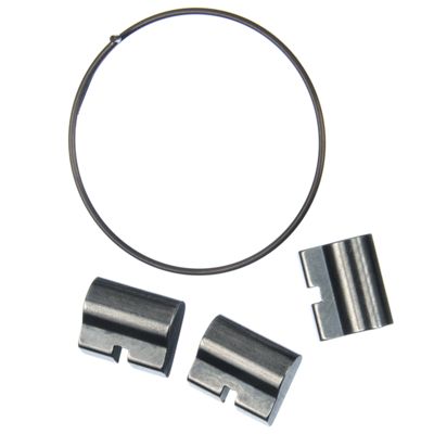 Sun Ringle Pawl & Spring Kit - Disc Jockey