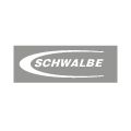 Schwalbe