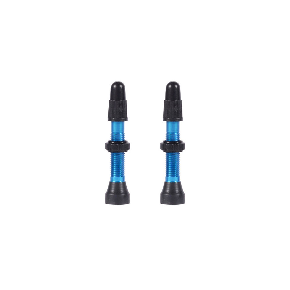 Valves WTB TCS Presta - La paire - Bleu - 46mm, Bleu