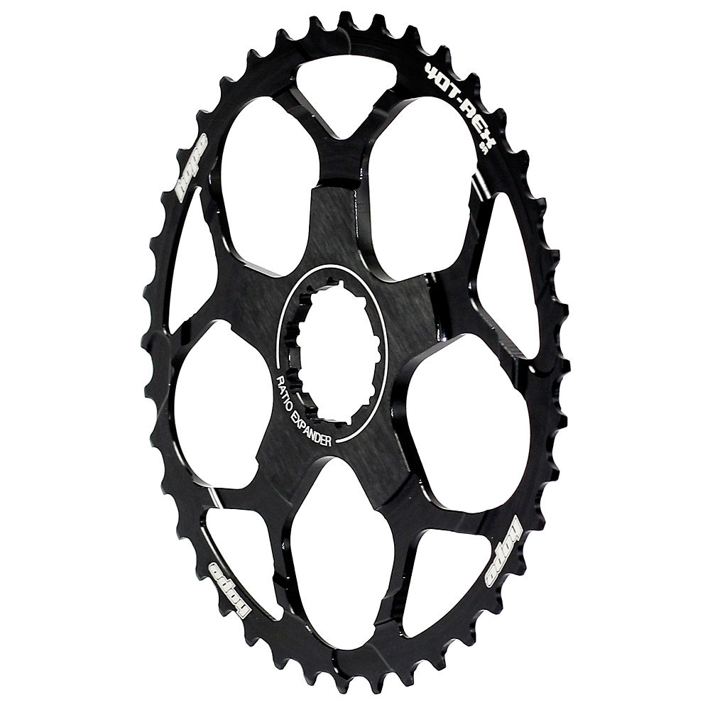 Pignon Hope T-Rex 40 dents - Noir - SRAM, Noir