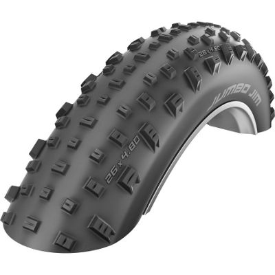 Schwalbe Jumbo Jim Evo FatBike Tyres - SnakeSkin - Black - Folding Bead, Black