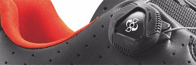 fizik spd sl