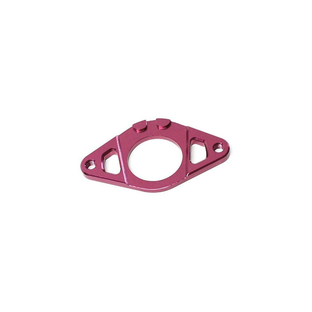 Gyro Plate Colony - Rose, Rose