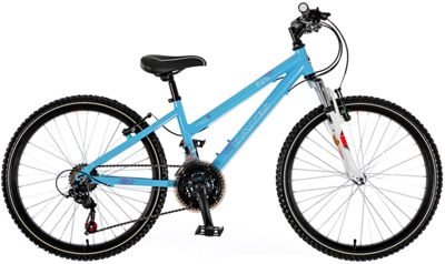 Dawes Paris HT Bike 24" Review