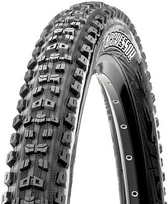 which maxxis mtb tyre