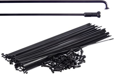 Rayons Blank PG - Noir, Noir