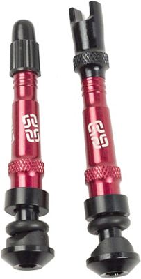 E Thirteen Tubeless Valves review