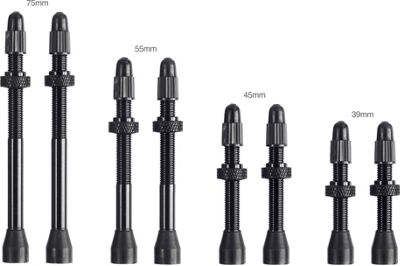 LifeLine Universal Tubeless Presta Valves Review