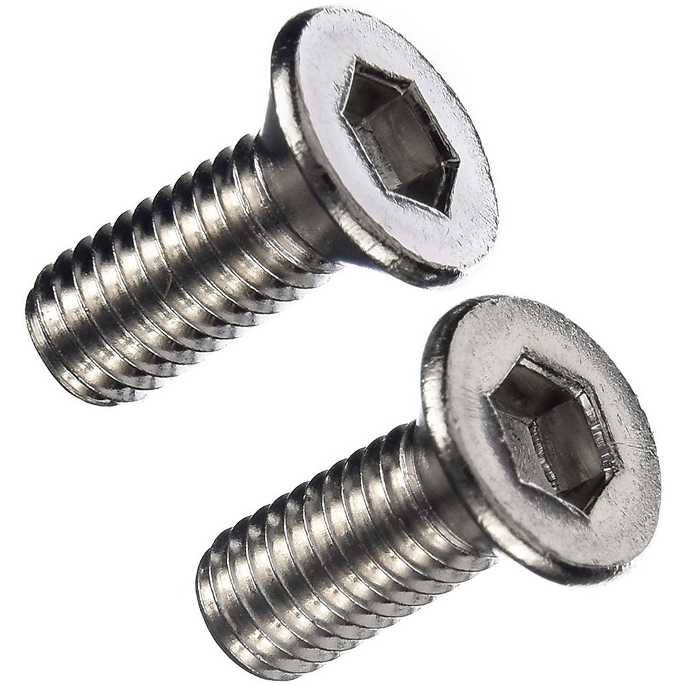 Vis de cales Nukeproof Horizon (longues) - Argent - 2 x 13mm, Argent