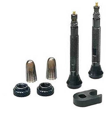 Paire de valves Schwalbe Tubeless (40mm)