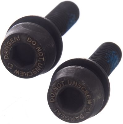 Campagnolo Rear Disc Brake Mount Screws (10-14mm) - Black - (19mm) 10-14mm, Black