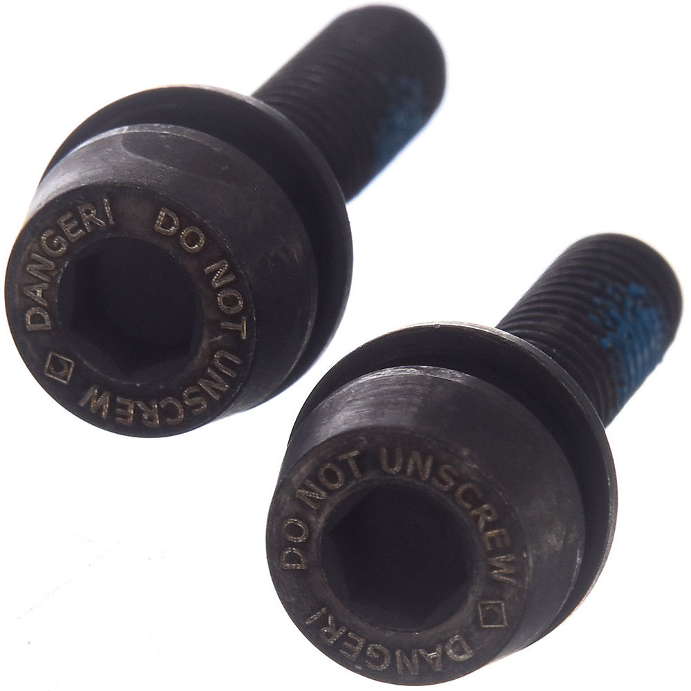 Campagnolo Rear Disc Brake Mount Screws (10-14mm) - Black - (19mm) 10-14mm}, Black