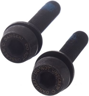 Campagnolo Rear Disc Brake Mount Screws (15-19mm) - Black - (24mm) 15-19mm, Black