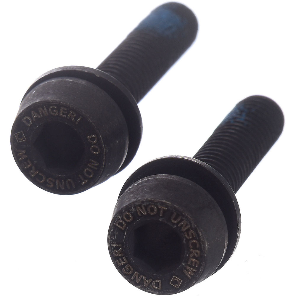Campagnolo Rear Disc Brake Mount Screws (15-19mm) - Black - (24mm) 15-19mm}, Black
