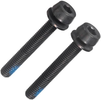 Campagnolo Rear Disc Brake Mount Screws (25-29mm) - Black - (34mm) 25-29mm, Black