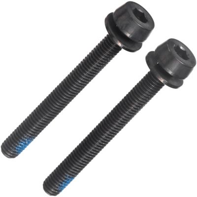 Campagnolo 35-39mm Rear Mount Screws - Black - (44mm) 35-39mm, Black