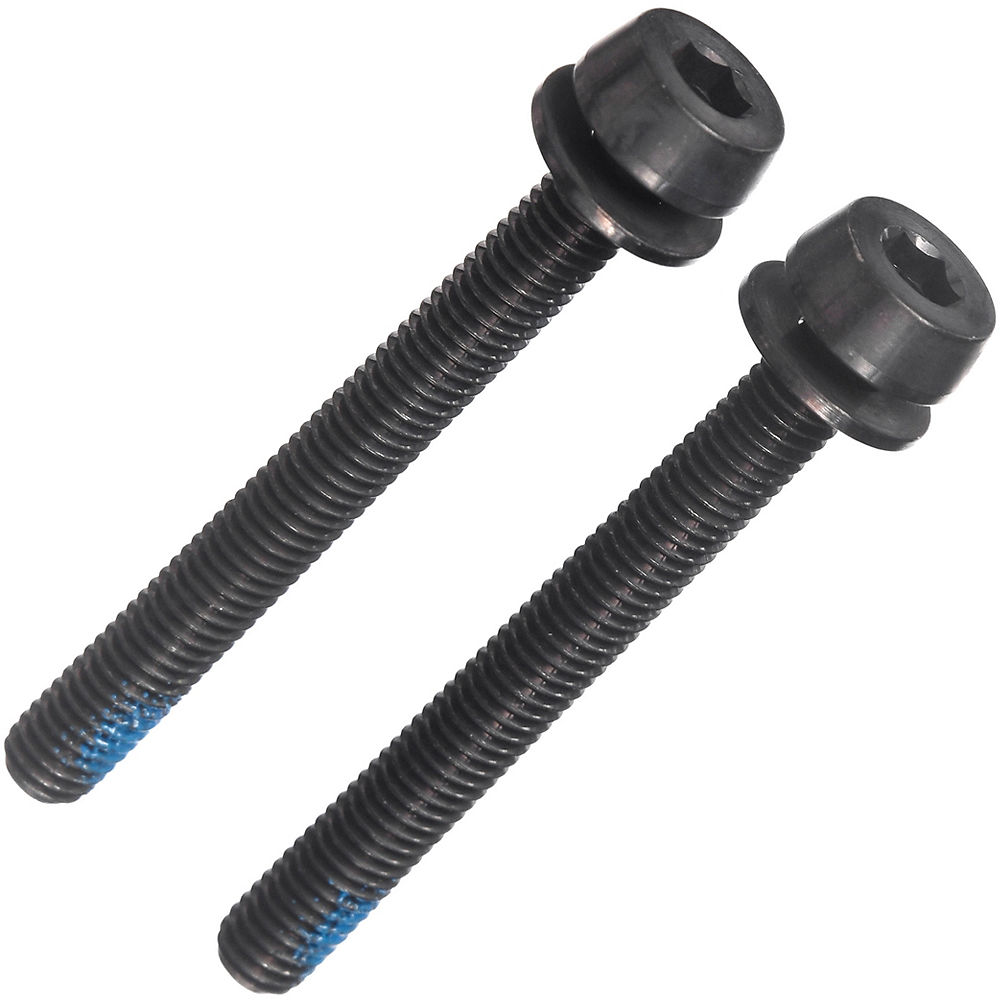 Campagnolo 35-39mm Rear Mount Screws - Black - (44mm) 35-39mm}, Black