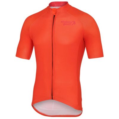 Stolen Goat Bodyline Core Short Sleeve Jersey review