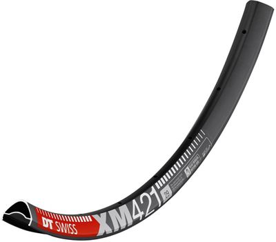 DT Swiss XM 421 25mm Mountain Bike Rim - Black - 28H, Black