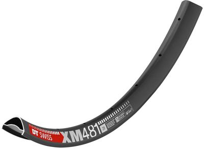 DT Swiss XM 481 30mm MTB Rim Review