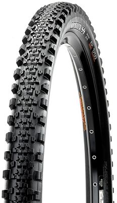 Maxxis Minion SS DH MaxxTerra MTB Tyre review