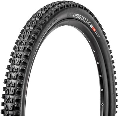 Onza Citius 40TPi MTB Tyre review