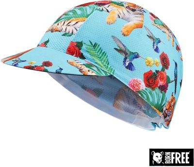 Morvelo Wild Life Cap SS19 review