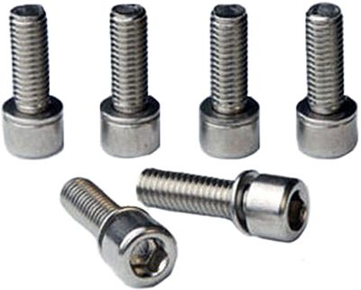 Ritchey Ti Bolt Set WCS 4-Axis - Argent - 31.8mm, Argent