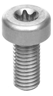 Vitus E-Sommet Motor Bolt kit 2018 - Silver - One Size, Silver