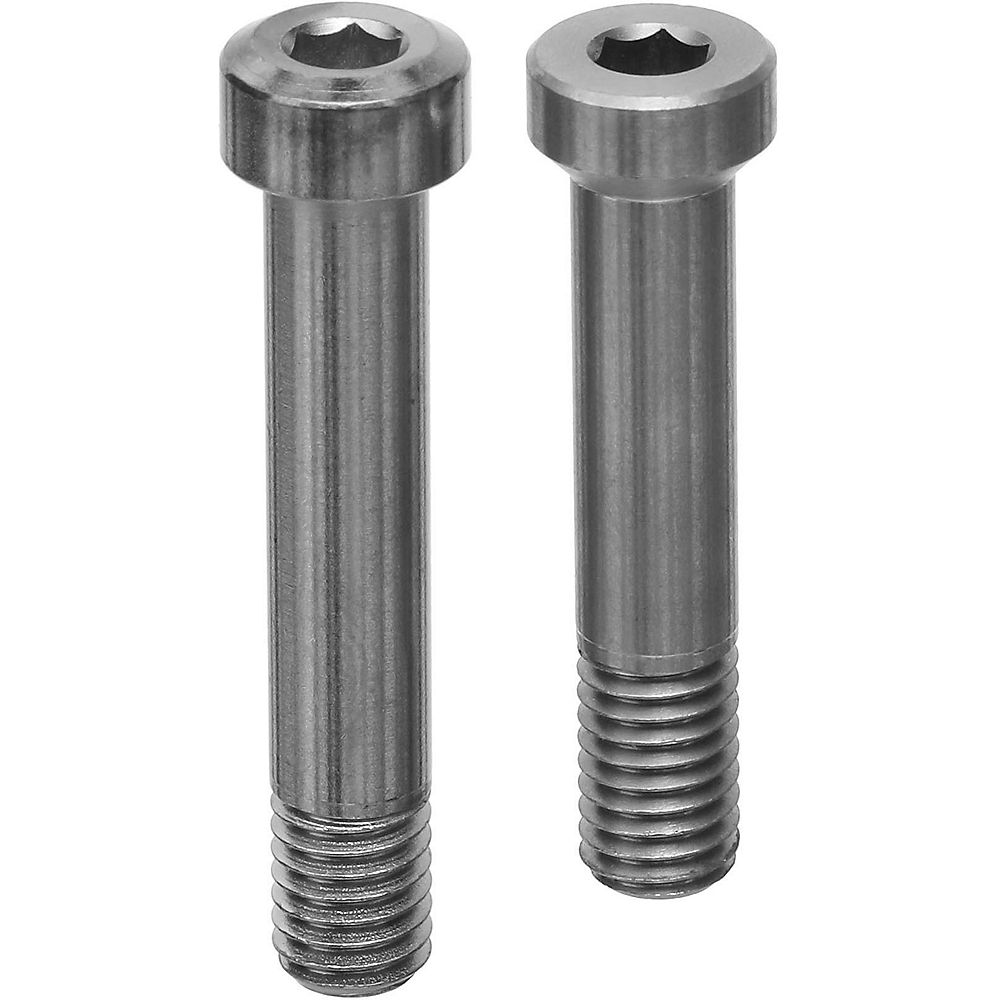 Nukeproof Dissent Shock Bolt Kit 2020 - Neutre, Neutre