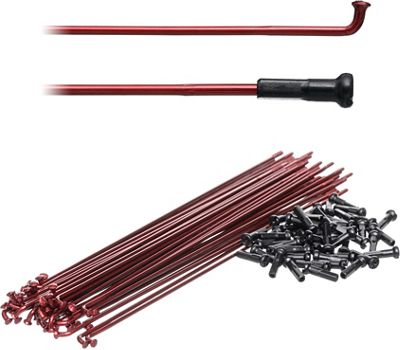 Proper Double Butted Spokes - Trans Rouge, Trans Rouge