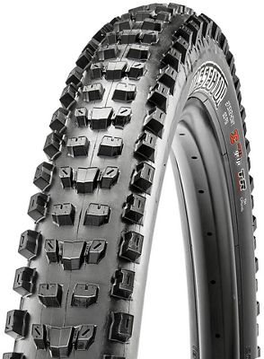 Maxxis Dissector MTB Tyre Review