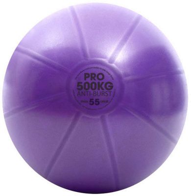 Fitness-Mad Swiss Ball & Pump (55cm) - Violet, Violet