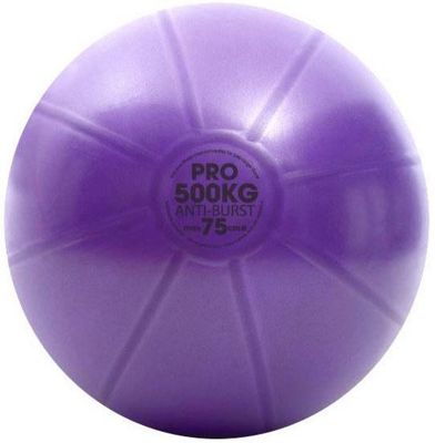 Fitness-Mad Swiss Ball & Pump (75cm) - Violet, Violet