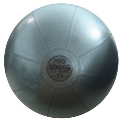 Perfect Fitness Gym Ball (55cm) - neutro, neutro