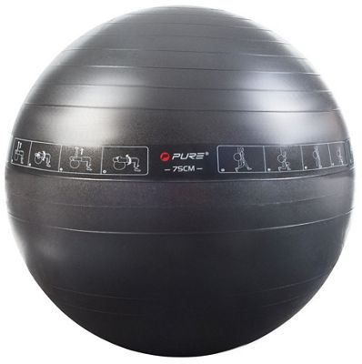 Pure2Improve Exercise Gym Ball Review