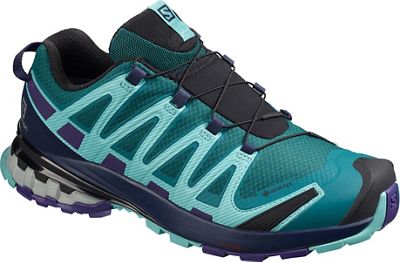 Salomon Women's XA Pro 3D v8 Gore-Tex Shoes  - Shaded Spruce-Blue - UK 4, Shaded Spruce-Blue